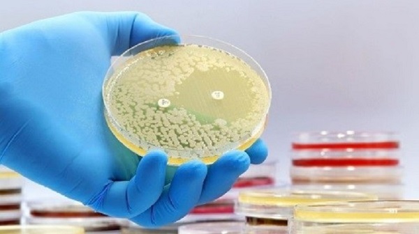 Trí tuệ nhân tạo góp phần quan trọng trong khám phá loại kháng sinh mới (MRSA)